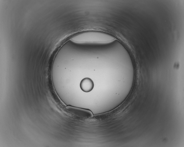 X0000115420203200911171430