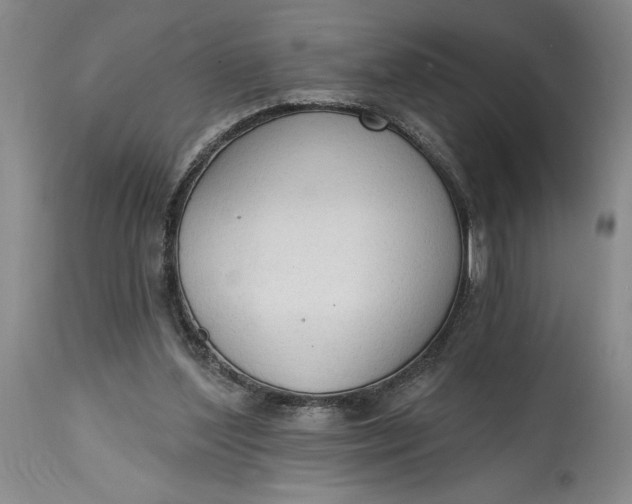 X0000115420204200911171430