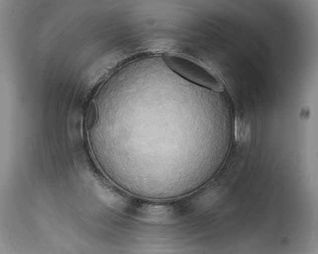 X0000115420205200911171430