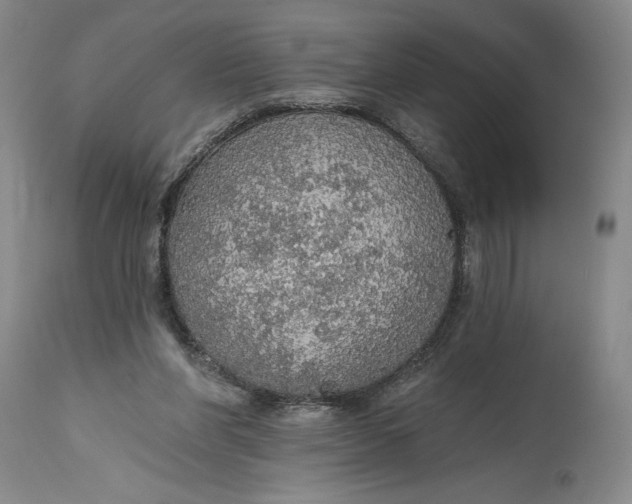 X0000115420206200911171430