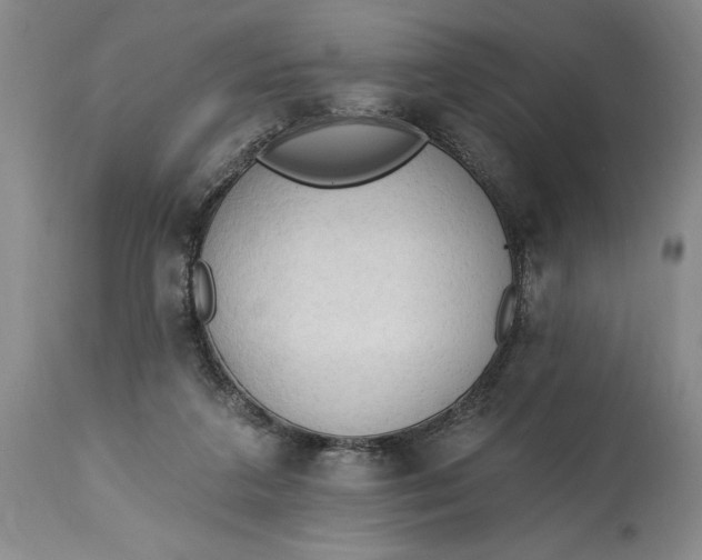 X0000115420211200911171430