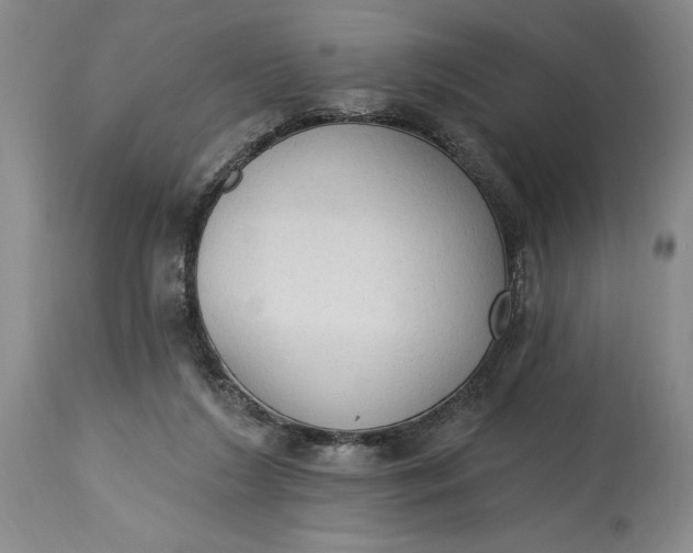 X0000115420212200911171430