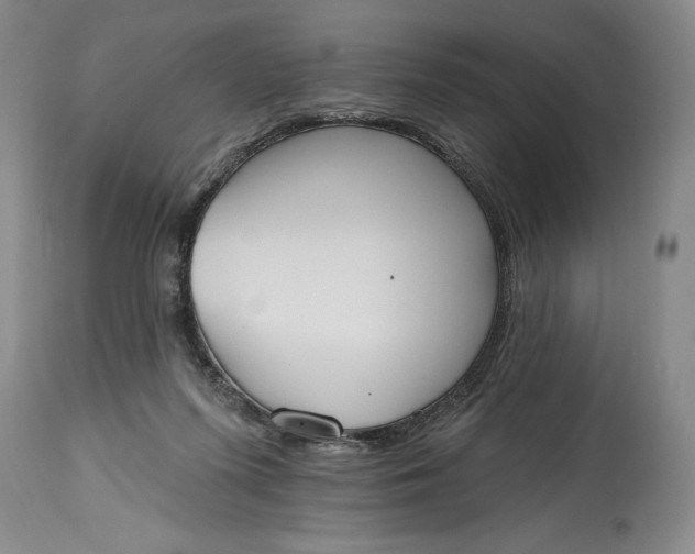 X0000115420215200911171430