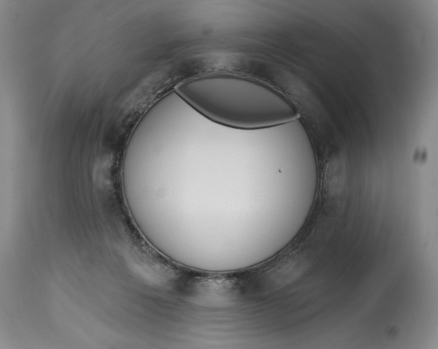 X0000115420217200911171430