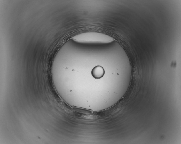 X0000115420221200911171430