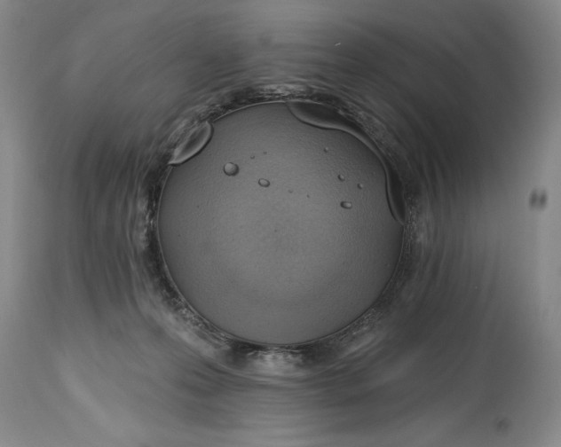 X0000115420223200911171430