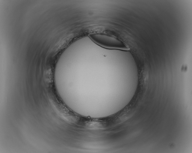 X0000115420224200911171430