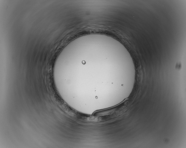 X0000115420225200911171430