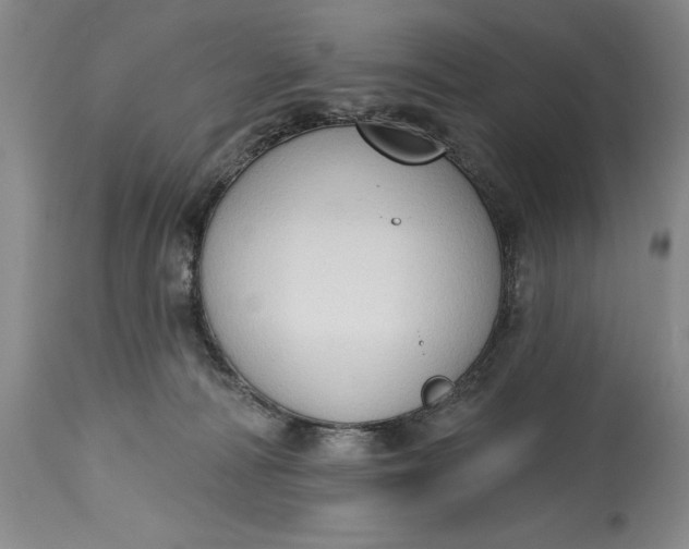 X0000115420226200911171430