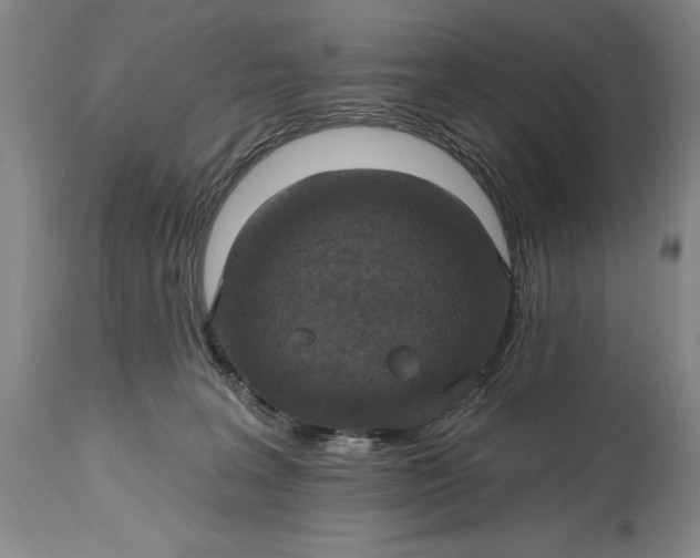 X0000115420227200911171430