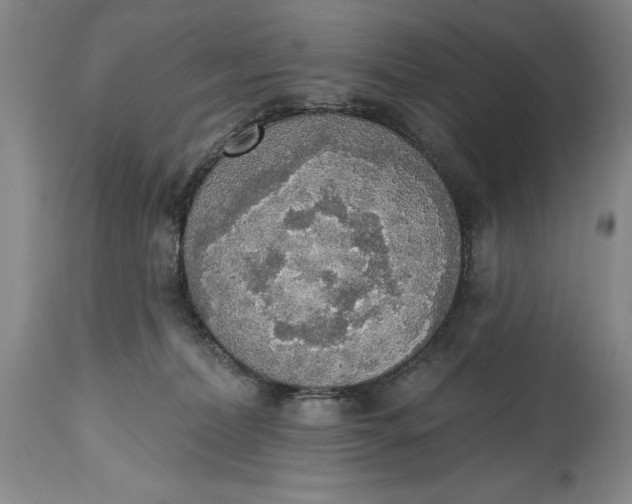 X0000115420228200911171430