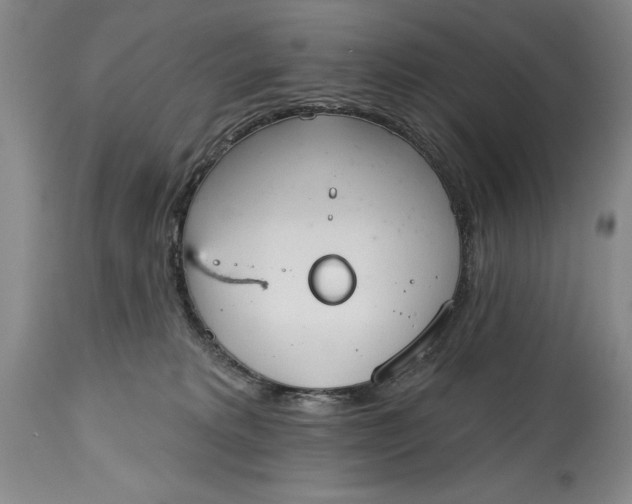 X0000115420229200911171430