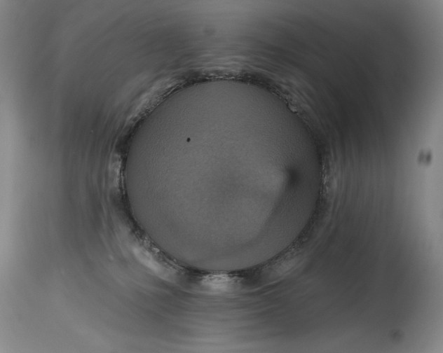 X0000115420231200911171430