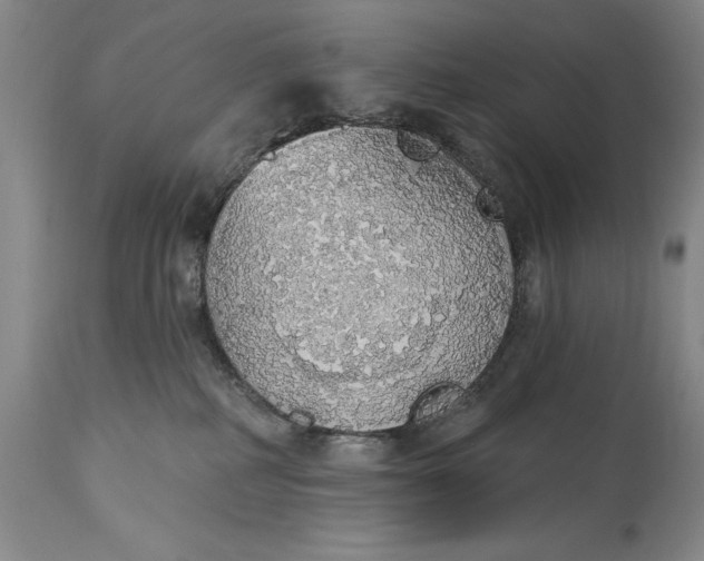 X0000115420234200911171430