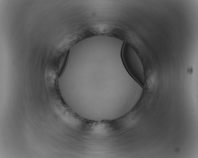 X0000115420235200911171430