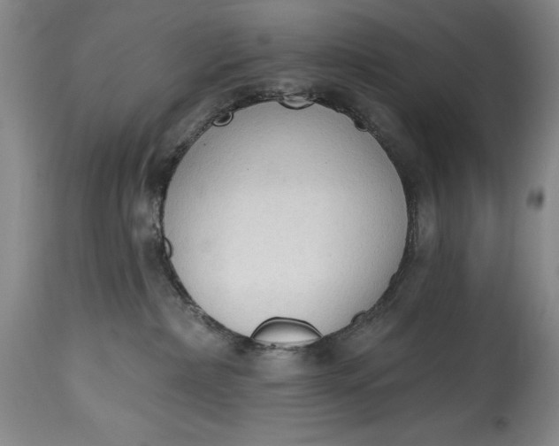 X0000115420236200911171430