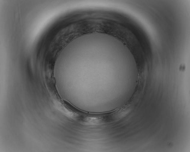 X0000115420239200911171430