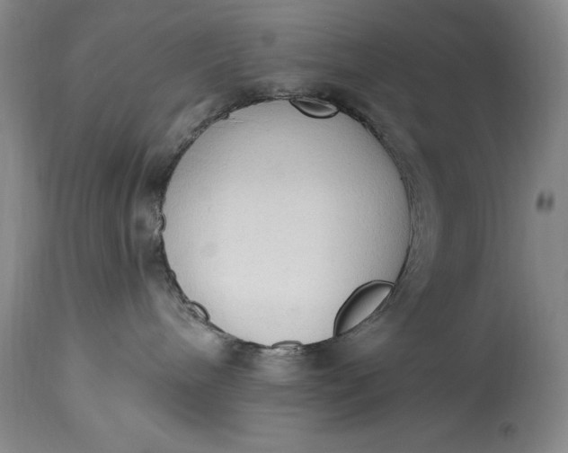 X0000115420240200911171430