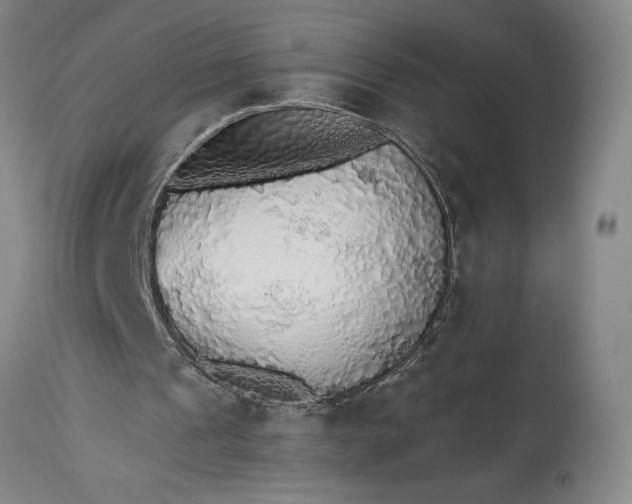 X0000115420241200911171429