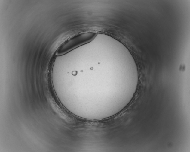 X0000115420242200911171429