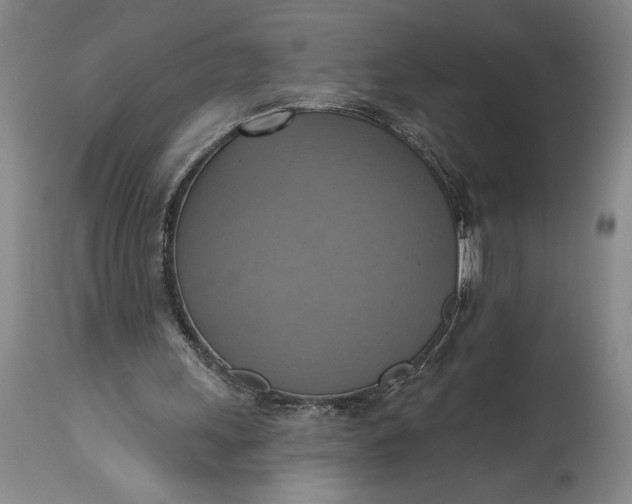 X0000115420243200911171429