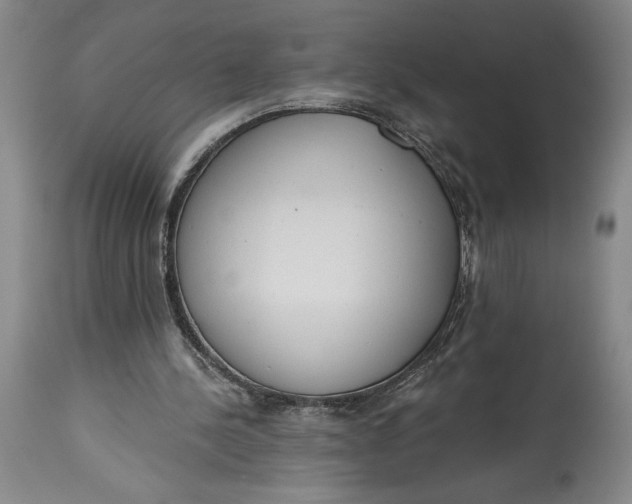 X0000115420244200911171429