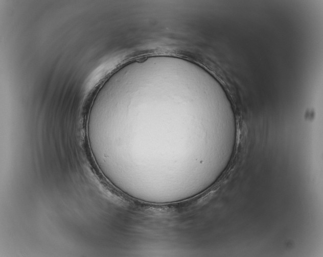 X0000115420245200911171429