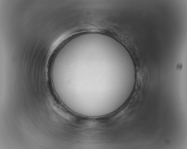 X0000115420246200911171429