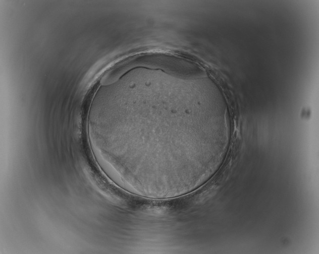 X0000115420247200911171429