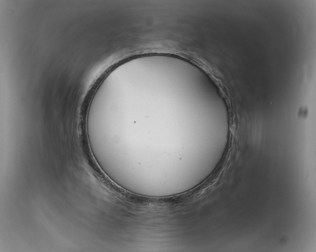 X0000115420248200911171429