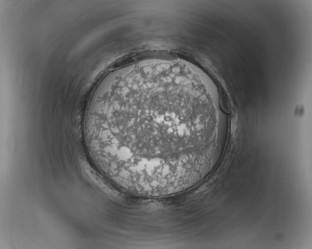 X0000115420249200911171429