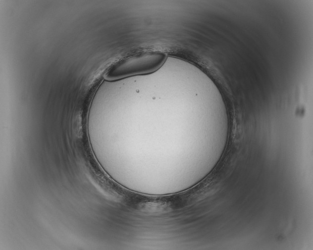 X0000115420251200911171429