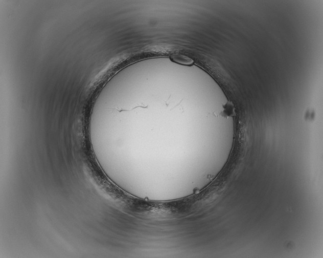 X0000115420256200911171429