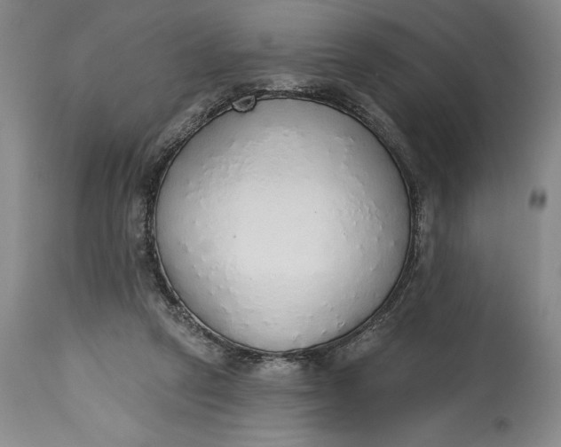 X0000115420257200911171429