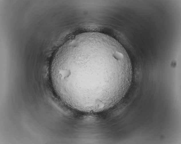 X0000115420259200911171429