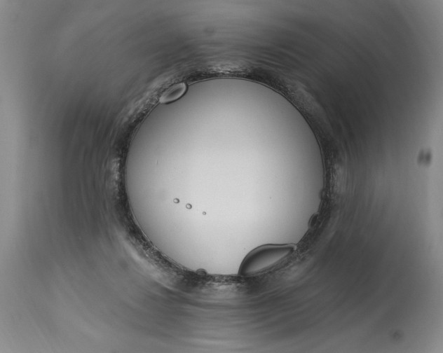 X0000115420260200911171429