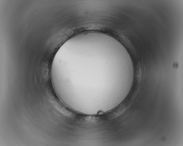 X0000115420261200911171429