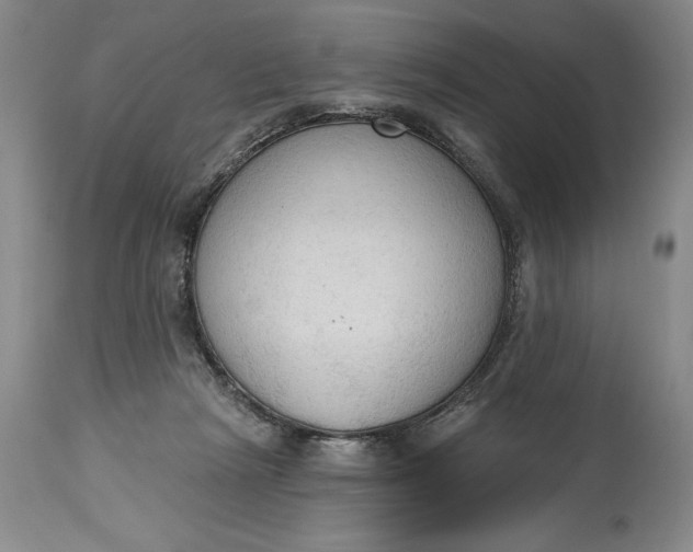 X0000115420265200911171429