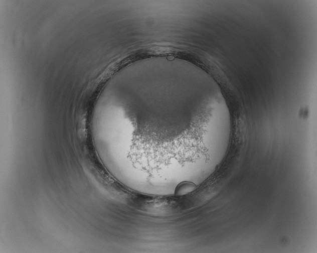 X0000115420267200911171429