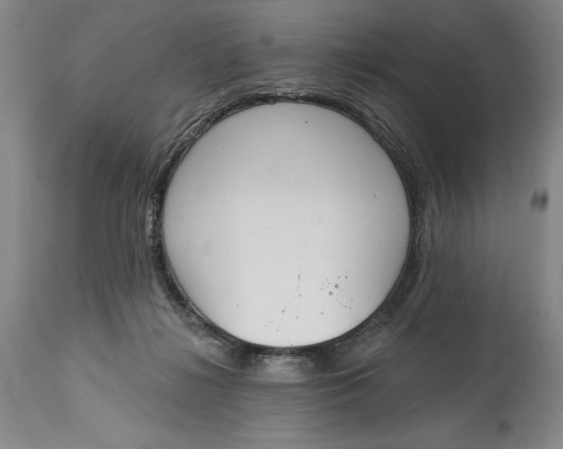 X0000115420268200911171429