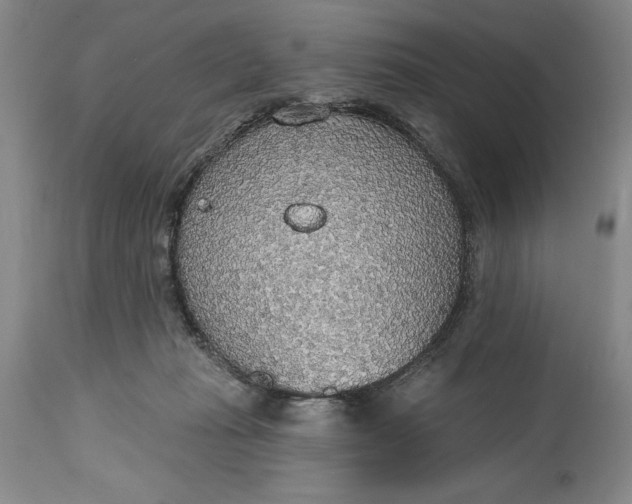 X0000115420269200911171429