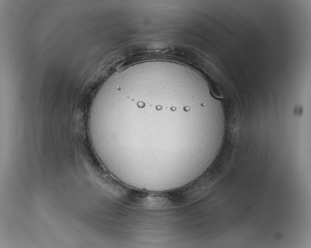 X0000115420270200911171429