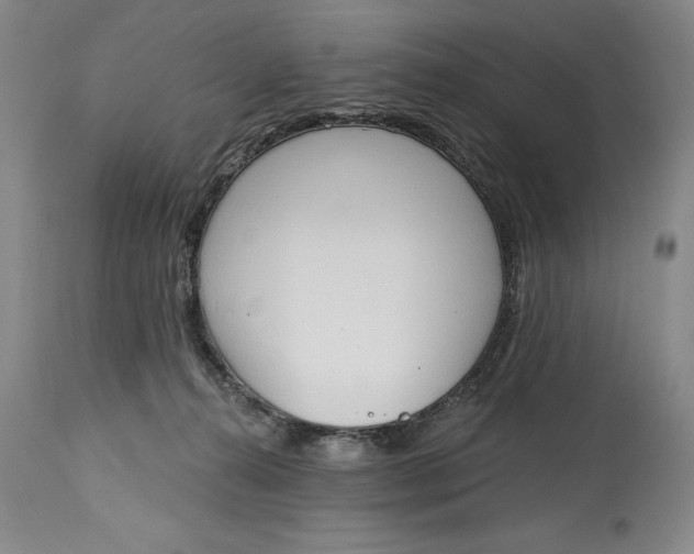 X0000115420272200911171430