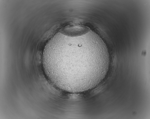 X0000115420273200911171430