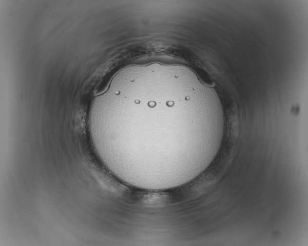 X0000115420274200911171430