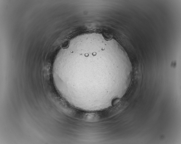 X0000115420275200911171430