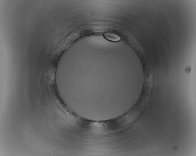 X0000115420277200911171430