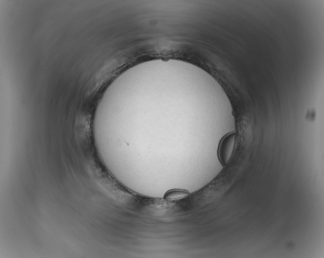 X0000115420278200911171430