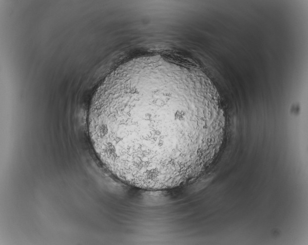 X0000115420281200911171430