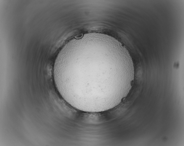 X0000115420282200911171430